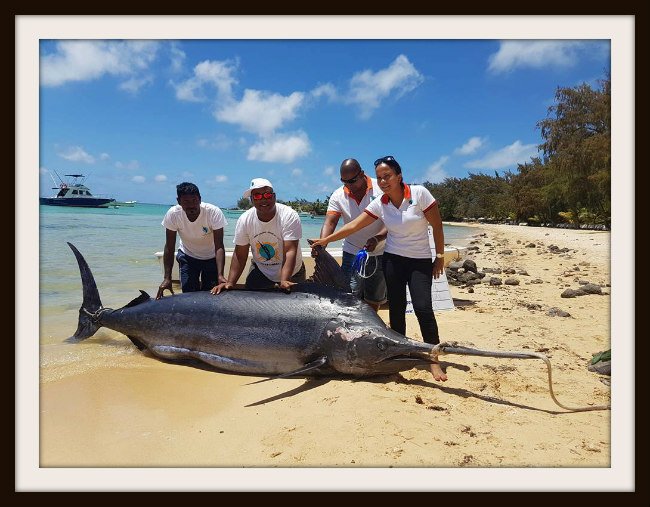 14606304_17776188830999_3710764650065066398_n