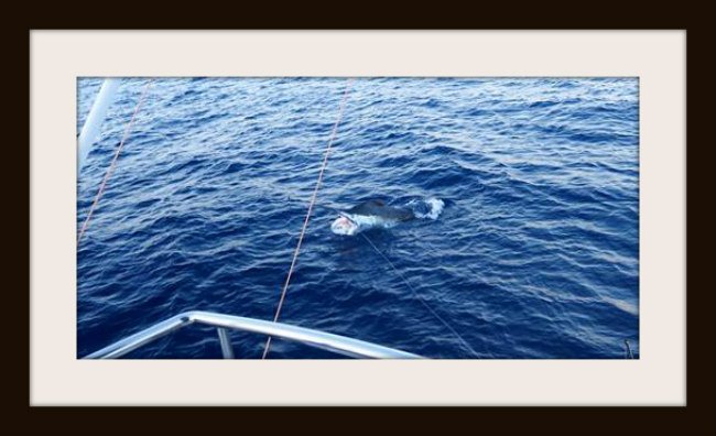 14971420_8574923354433_125936465_n