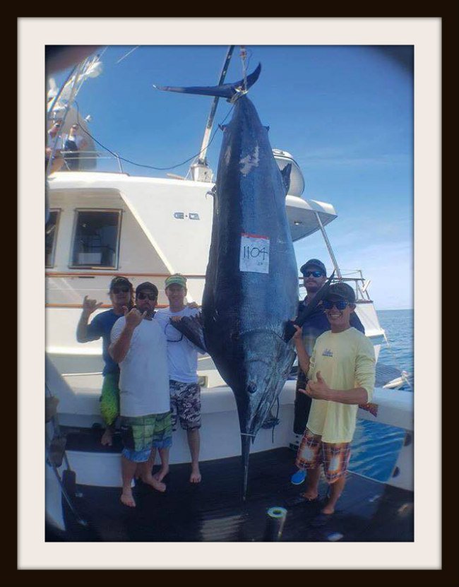 15046392_10209616176888_1555782891_n