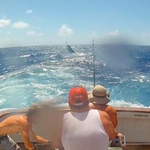 10411072_359374317573739_9174562161786423627_n