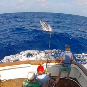 10755045_357821567729014_258304321_n