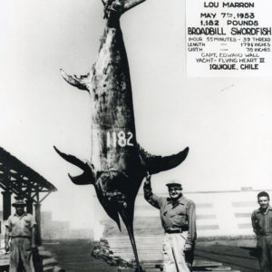 1182Swordfish.jpg