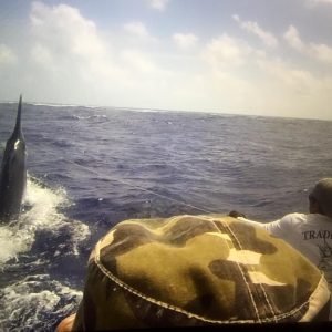 12193458_10206616200856378_6638925399192988529_n