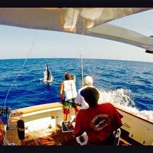 12194701_10102322546734775_4488623780779416649_o