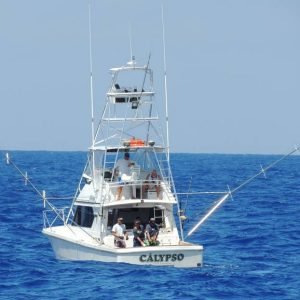 12783_10152777547795266_5444144780294429614_n