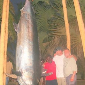 Grander Black Marlin in Mozambique