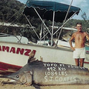 Black marlin 1084 lbs-tofo