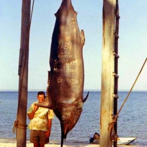 1970 Black Marlin 1139lbs caught by Sandy Sanderson. Rod broke, fish disqualified