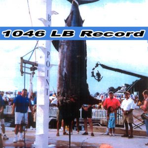 record-catch-marlin